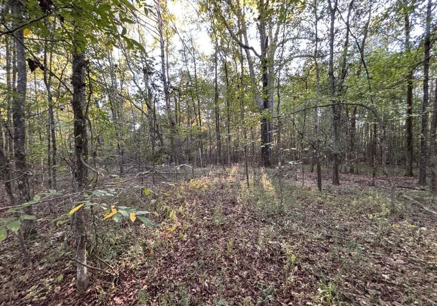 28 Acres for Sale South Jackson, Hinds County, MS