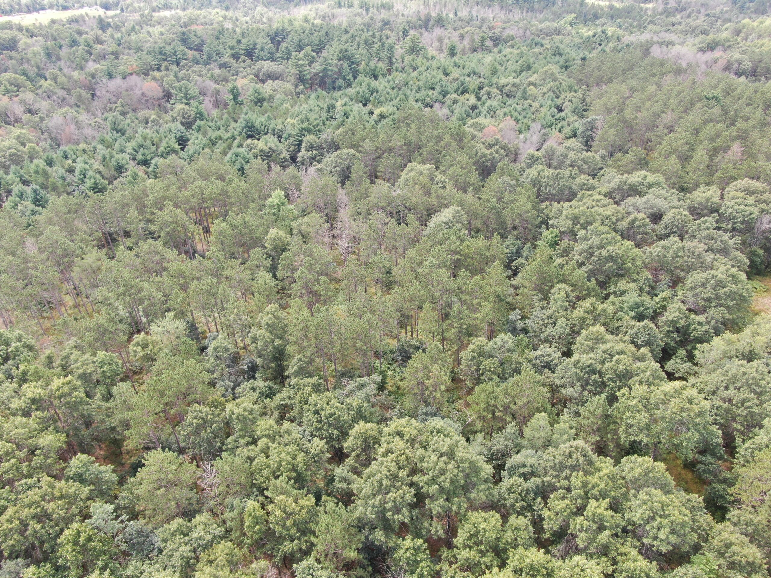 Escape to 80 acres of heavily timbered ground in Adams County