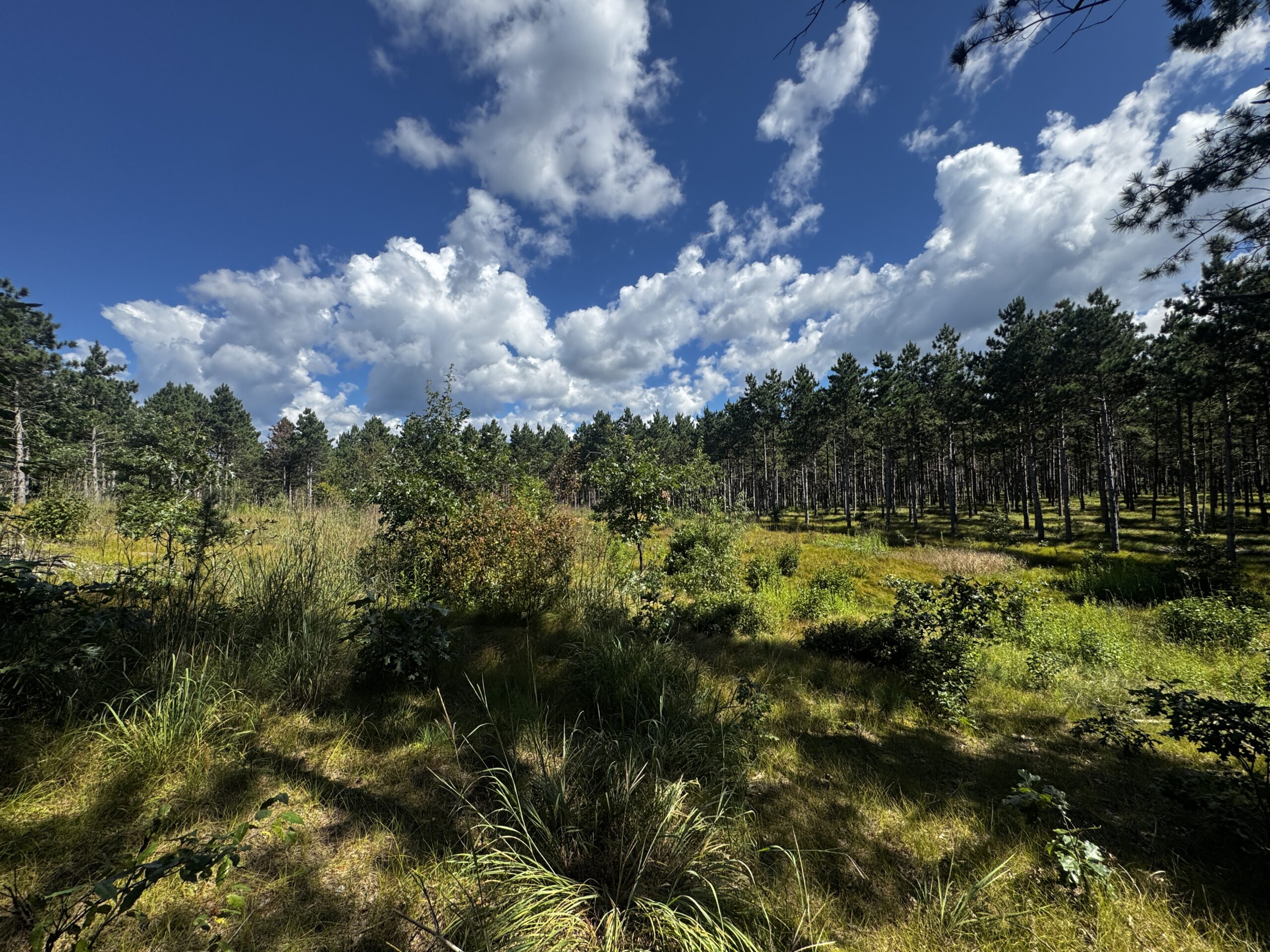 37.77-acre wooded parcel in the Town of Rome