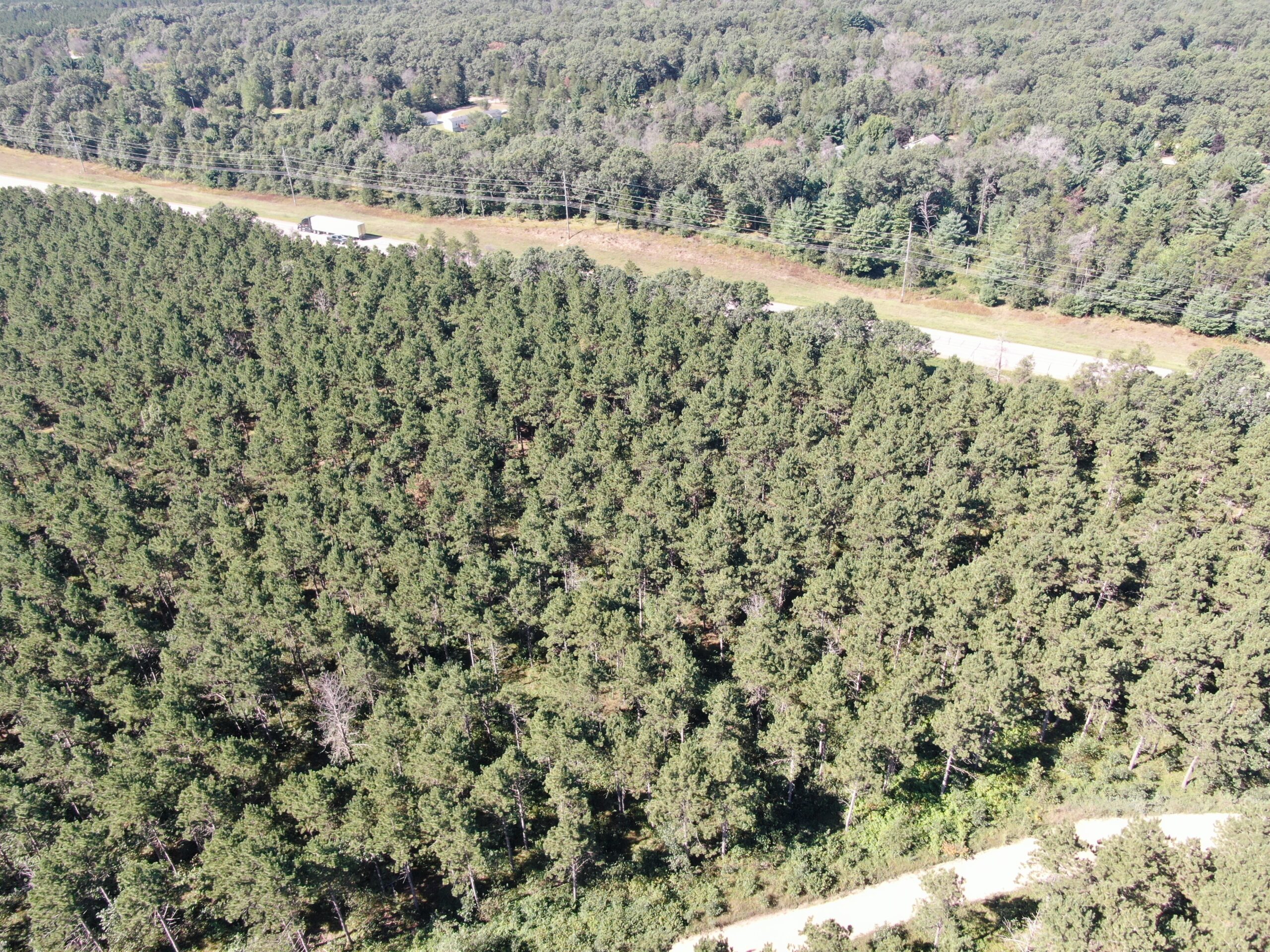 77-acre timber tract in the Town of Rome