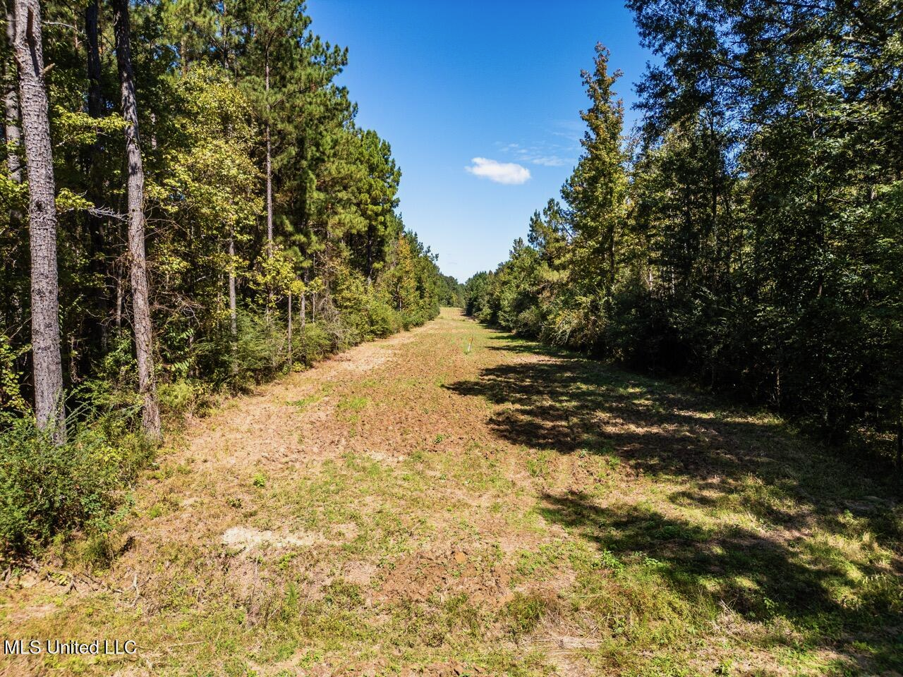 203 Acres in Smithdale MS – Turnkey Hunting Retreat