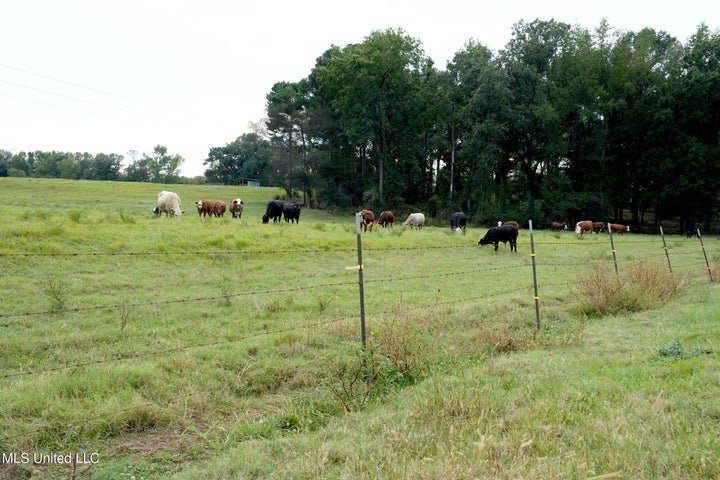 43 Acres of Beautiful Pasture with a Dream Farmhouse