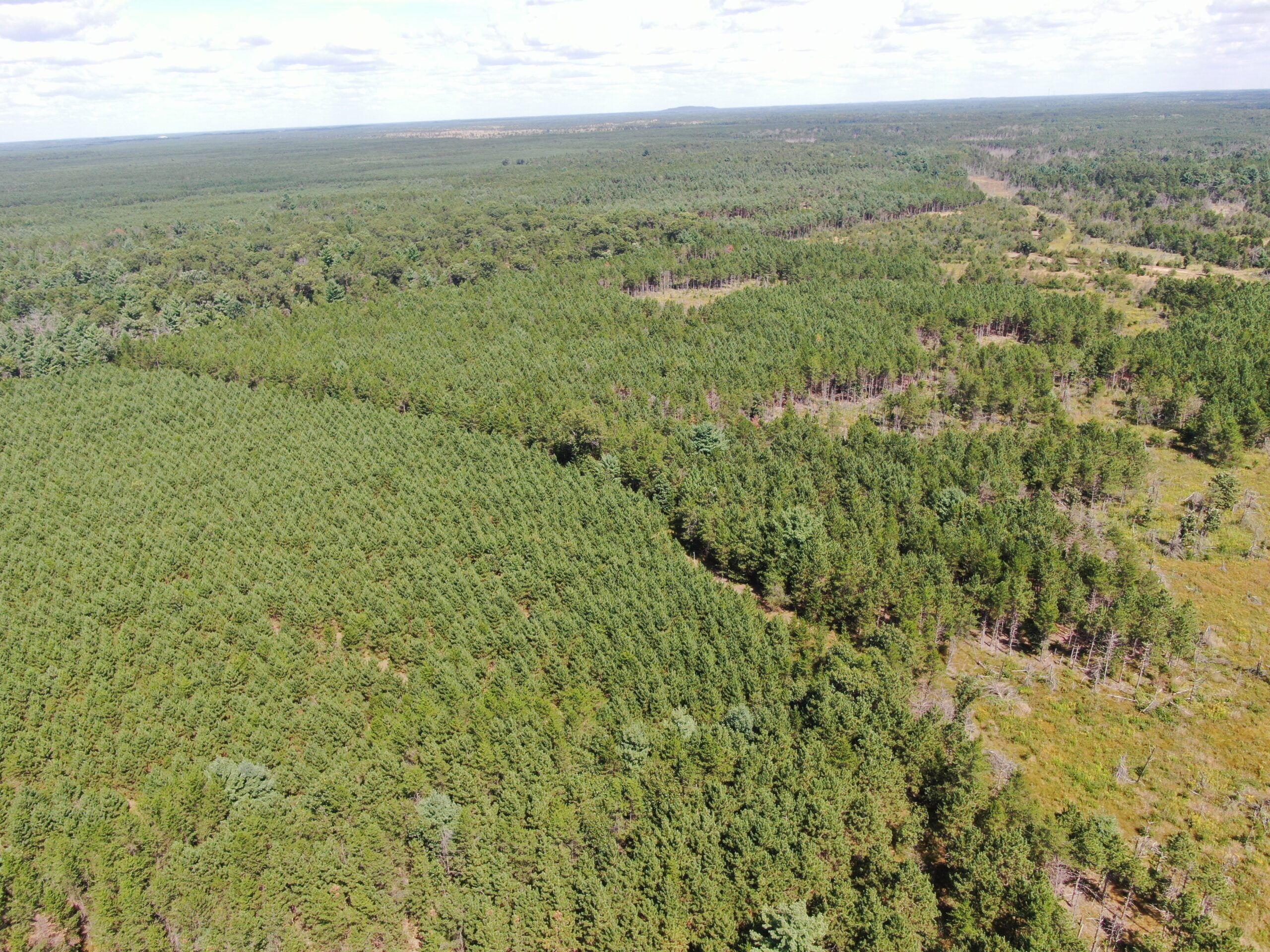 40 acres of recreational land in the Town of Monroe, Adams County