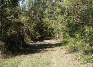 Affordable Lincoln Parish Land for Sale – Tract 4