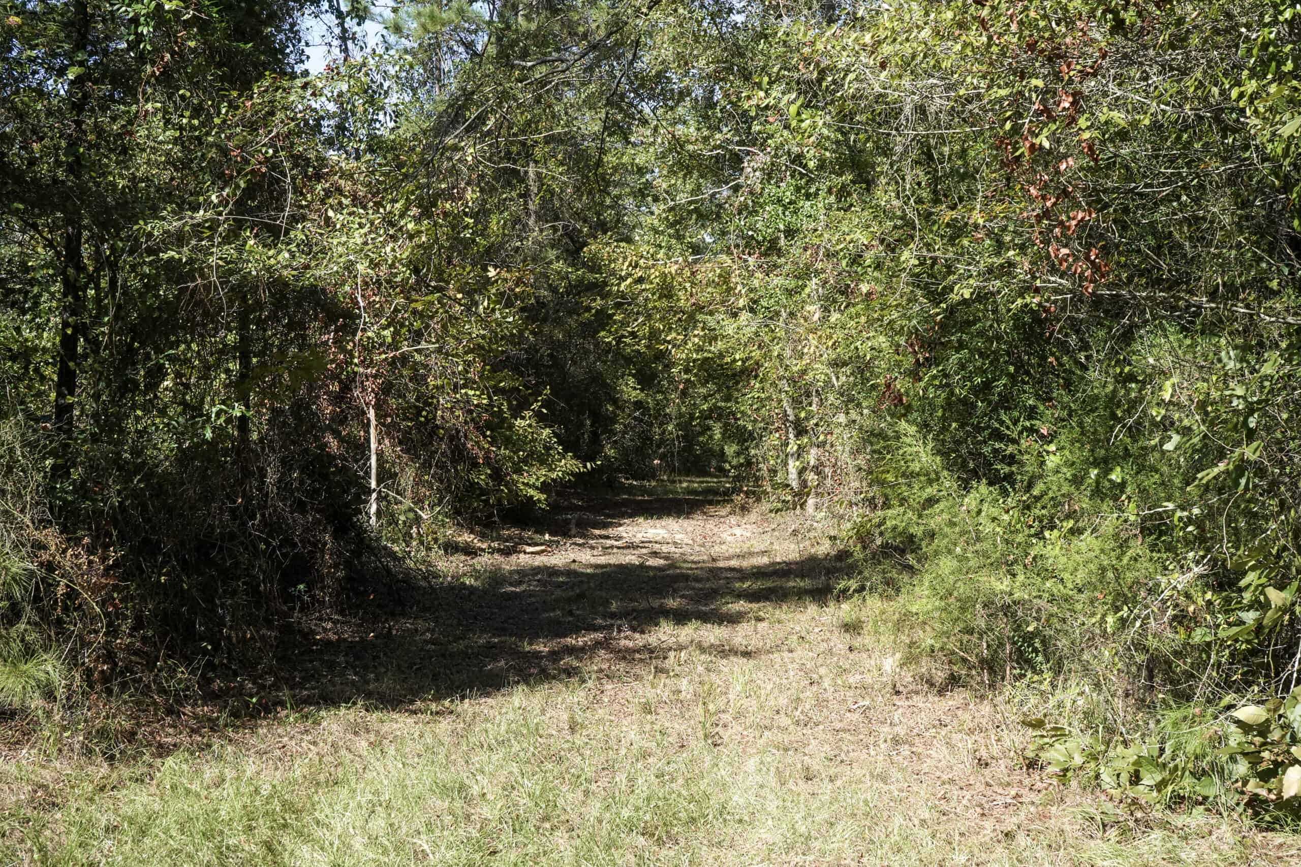 Affordable Lincoln Parish Land for Sale – Tract 4
