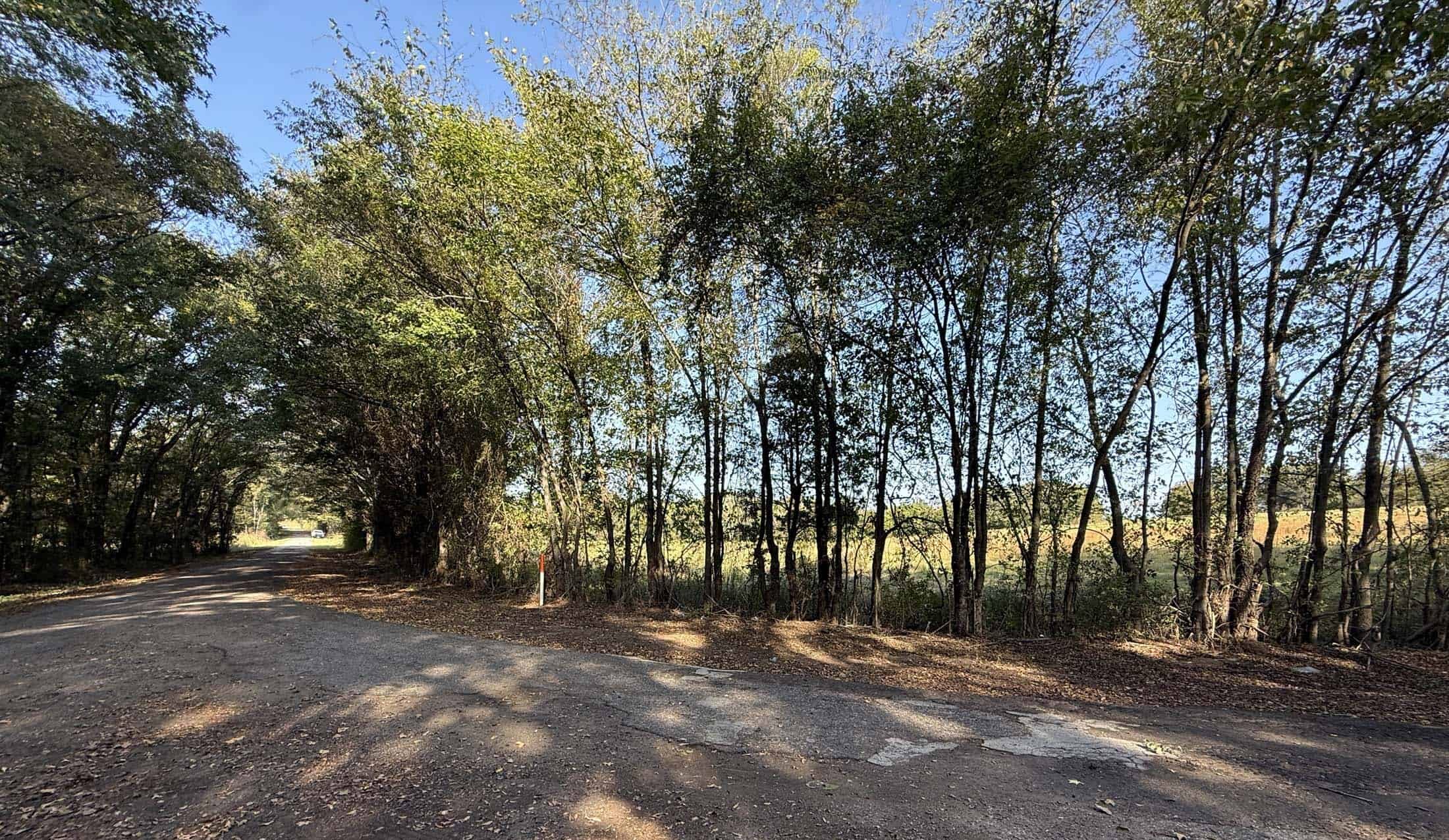 East Texas Hunting Property with Year-Round Creek in Fruitvale