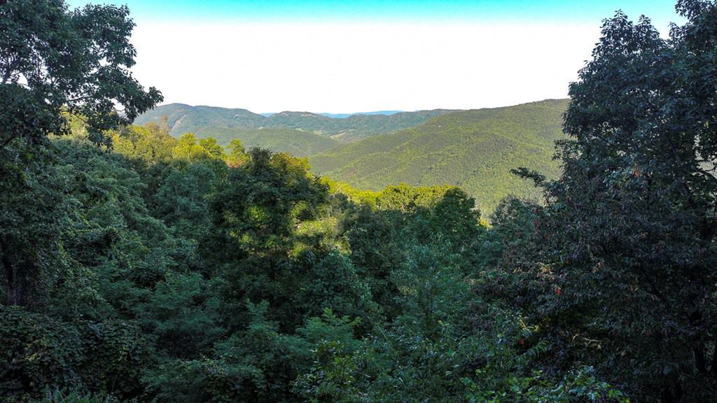 Your Ultimate 125-Acre Hunting and River Recreation Paradise