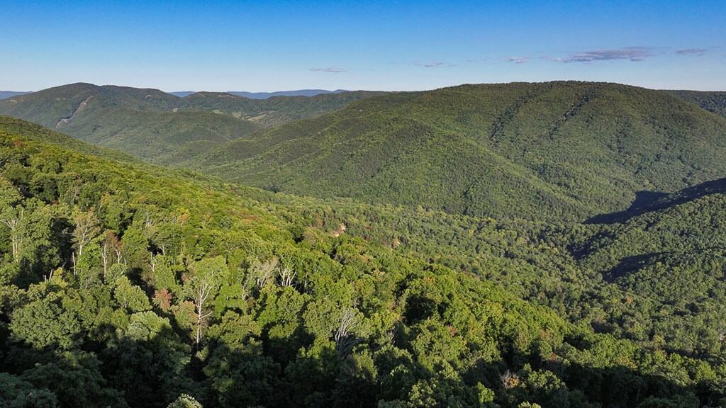 Your Ultimate 125-Acre Hunting and River Recreation Paradise