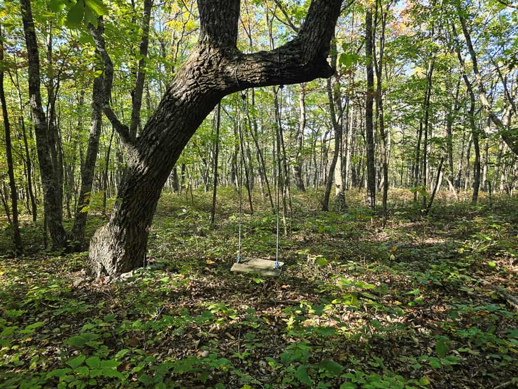 Your Ultimate 125-Acre Hunting and River Recreation Paradise