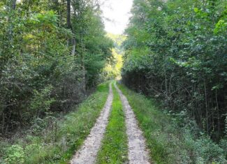 Your Ultimate 125-Acre Hunting and River Recreation Paradise