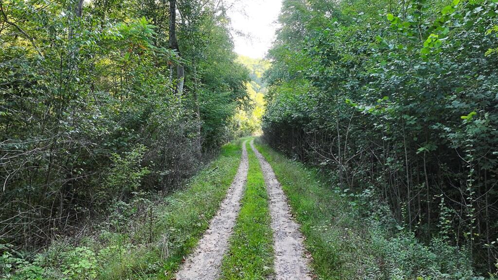 Your Ultimate 125-Acre Hunting and River Recreation Paradise