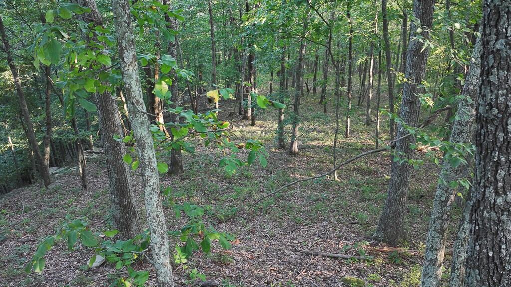 Your Ultimate 125-Acre Hunting and River Recreation Paradise