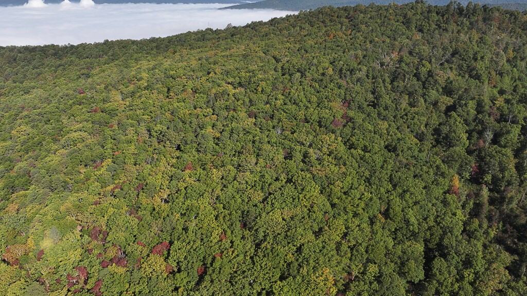 Your Ultimate 125-Acre Hunting and River Recreation Paradise