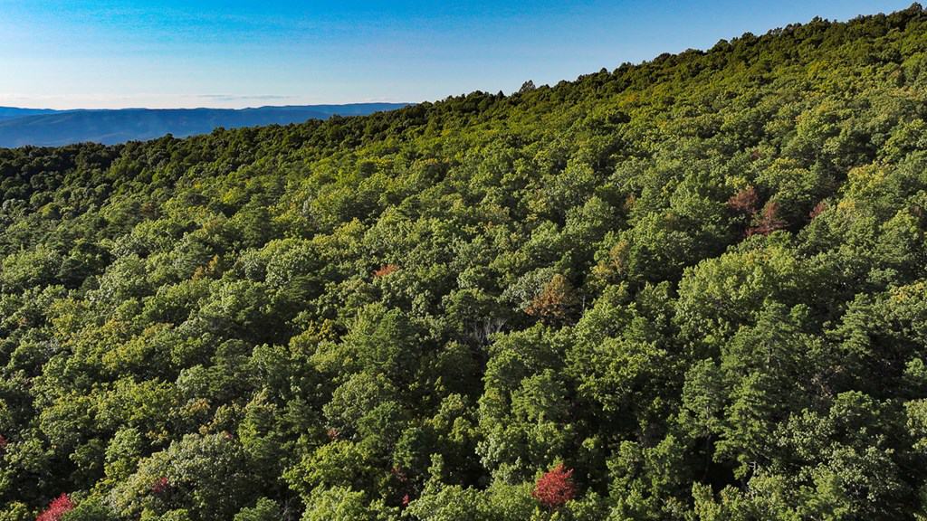 Your Ultimate 125-Acre Hunting and River Recreation Paradise