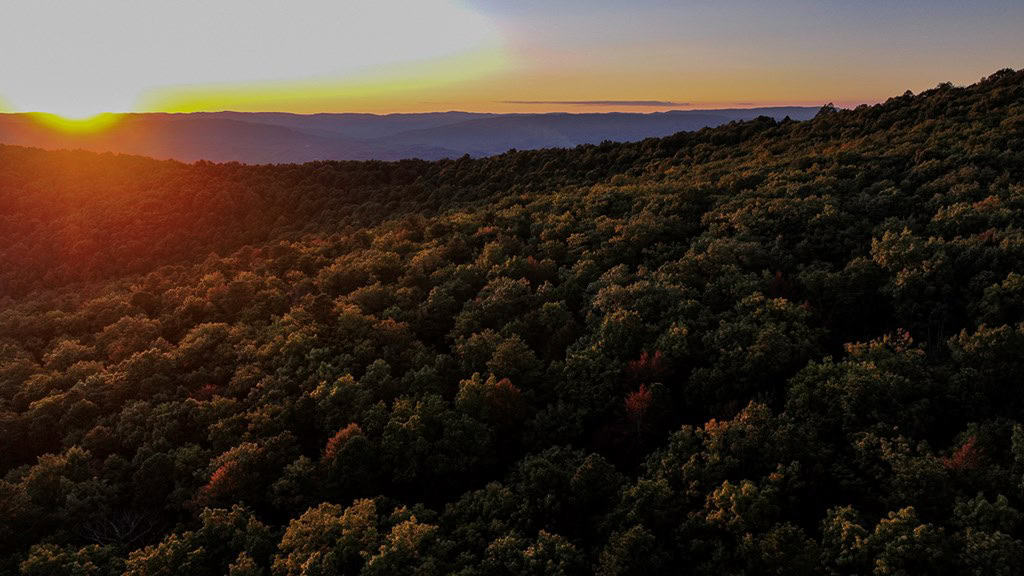 Your Ultimate 125-Acre Hunting and River Recreation Paradise