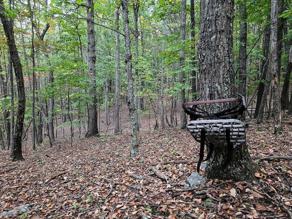 Your Ultimate 125-Acre Hunting and River Recreation Paradise
