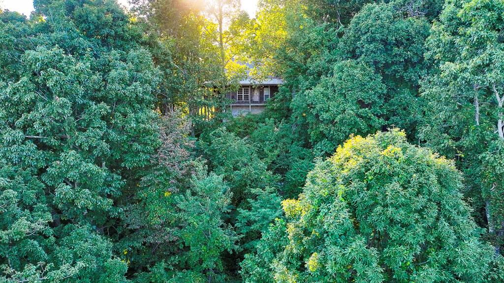 Your Ultimate 125-Acre Hunting and River Recreation Paradise