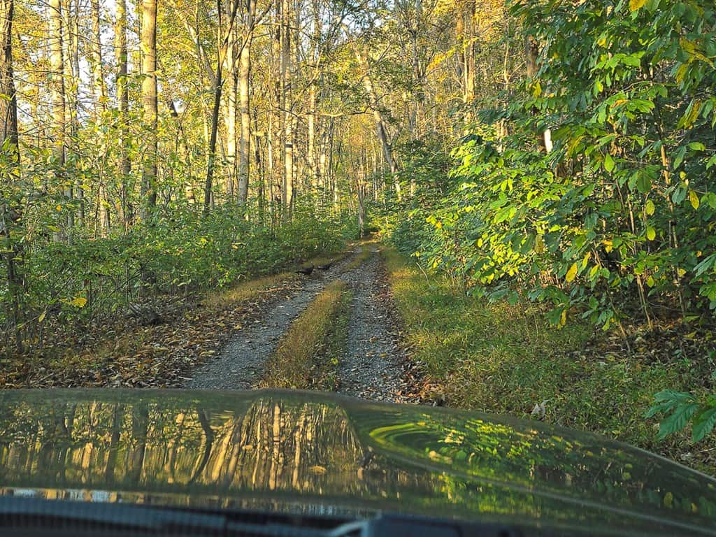 Your Ultimate 125-Acre Hunting and River Recreation Paradise