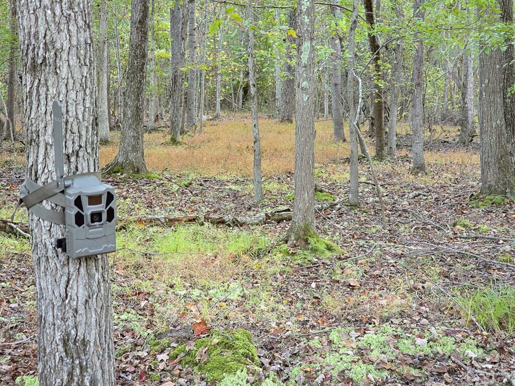 Your Ultimate 125-Acre Hunting and River Recreation Paradise