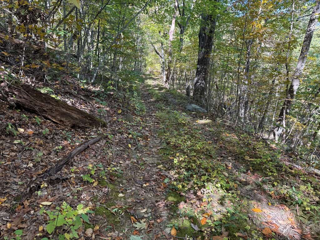 Ultimate Hunting and Mountain Recreation Retreat on SNP Border