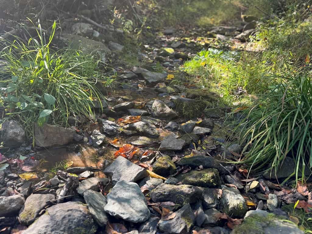 Ultimate Hunting and Mountain Recreation Retreat on SNP Border