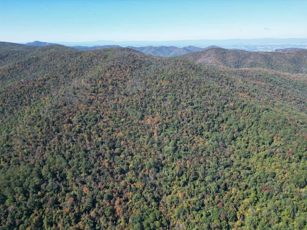 Ultimate Hunting and Mountain Recreation Retreat on SNP Border