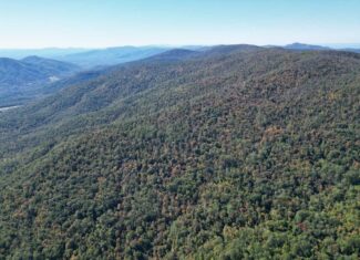 Ultimate Hunting and Mountain Recreation Retreat on SNP Border