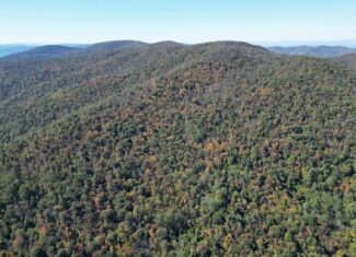 Ultimate Hunting and Mountain Recreation Retreat on SNP Border