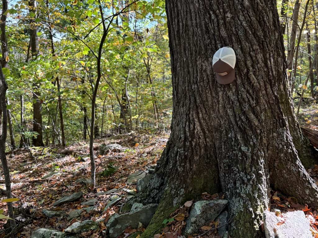 Ultimate Hunting and Mountain Recreation Retreat on SNP Border