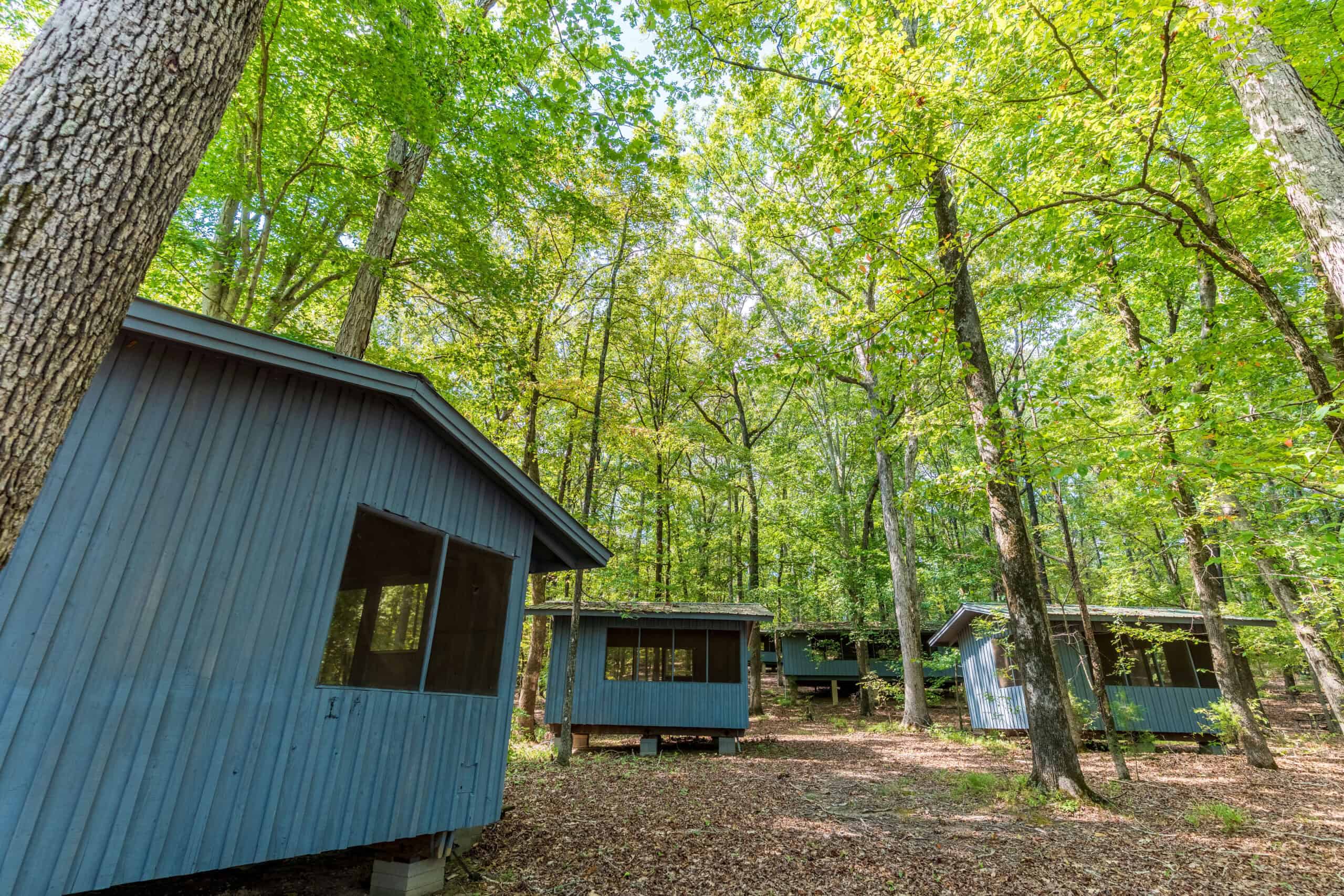 Premier Hunting & Recreation Property in Middleton, TN