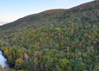 Your Ultimate 125-Acre Hunting and River Recreation Paradise