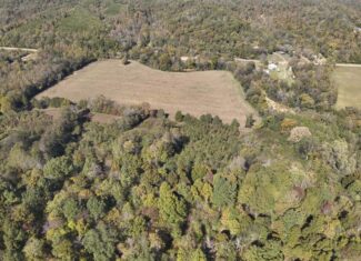 Hunting Land With Vintage Farm For Sale in Linden, Tennessee