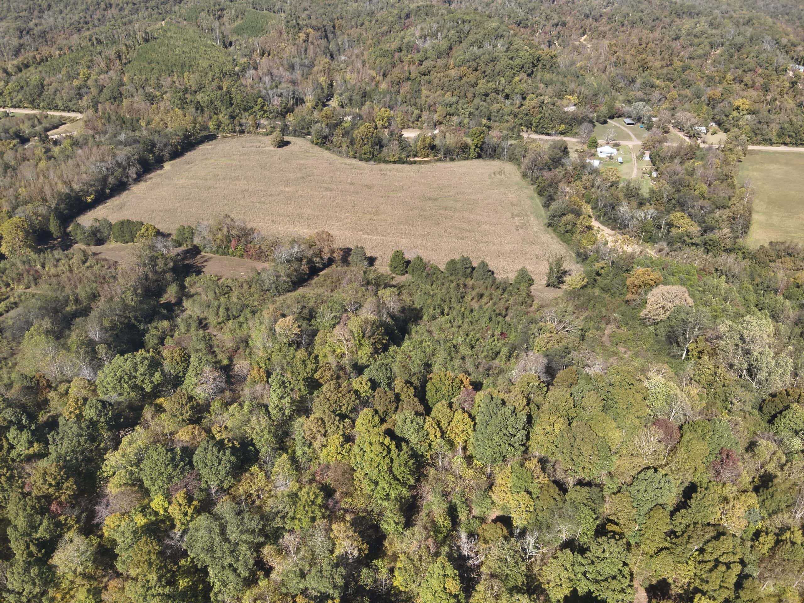 Hunting Land With Vintage Farm For Sale in Linden, Tennessee