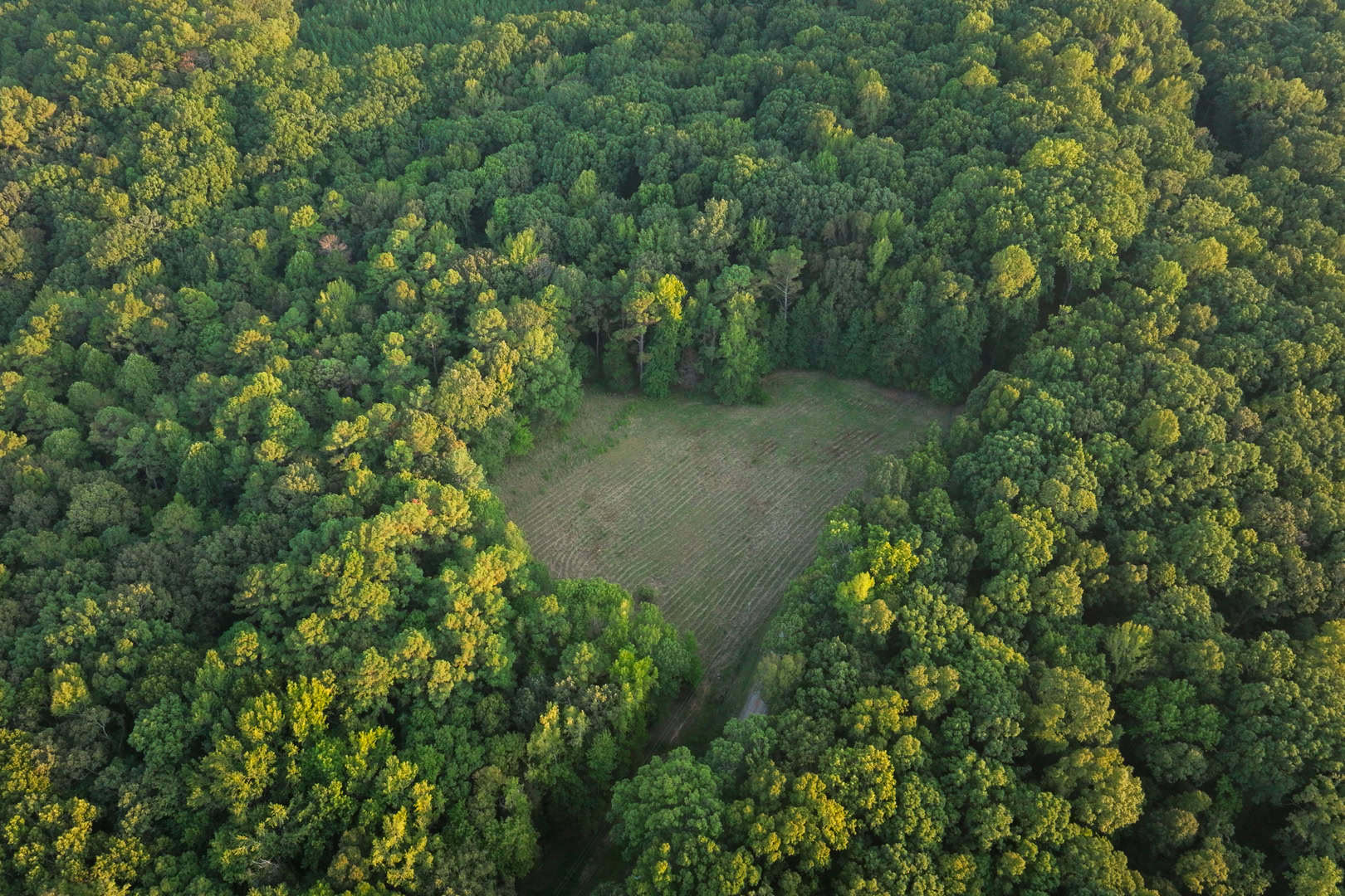 Premier Hunting & Recreation Property in Middleton, TN
