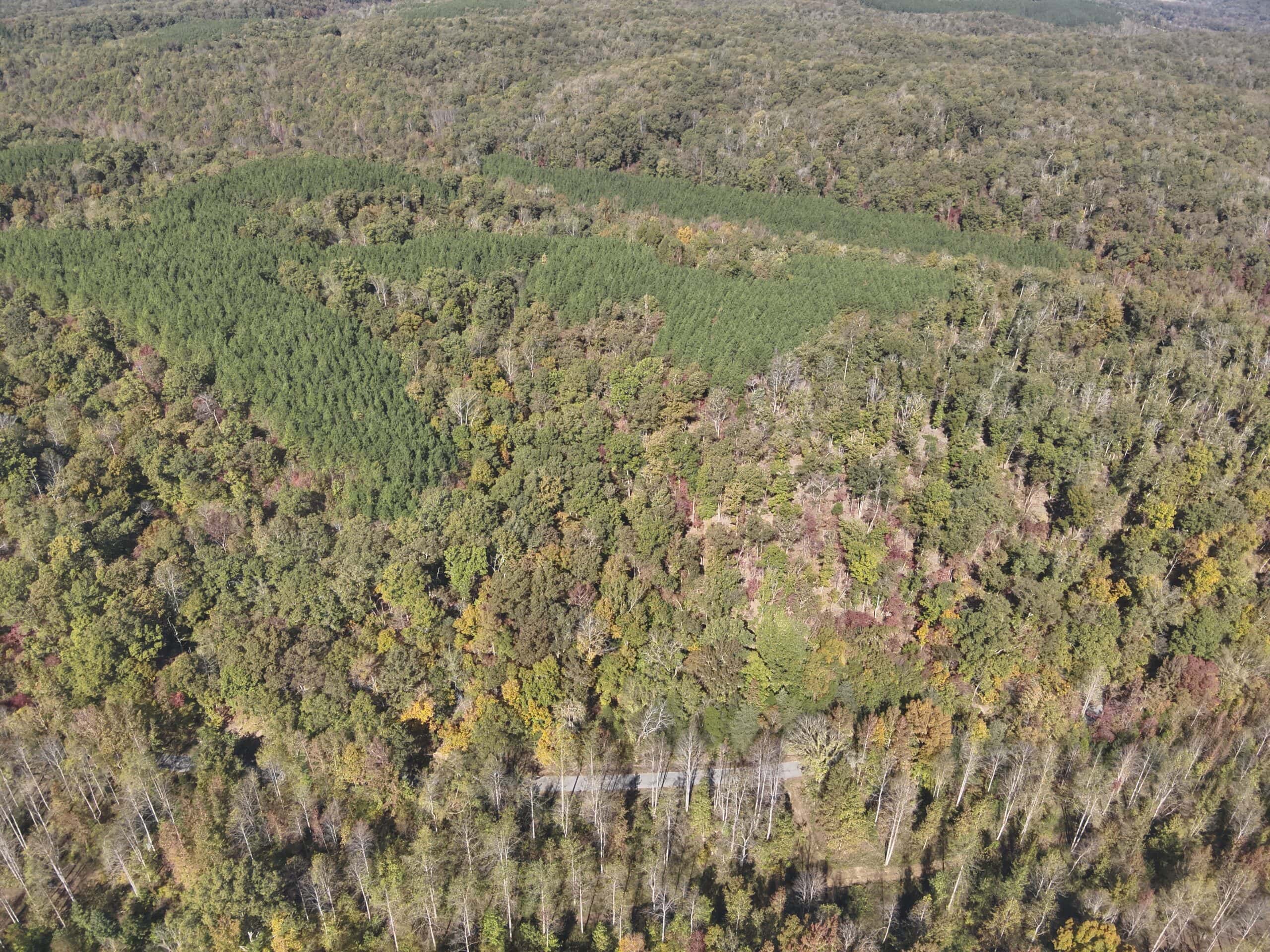 79.49 Acres Hunting and Timberland For Sale in Linden, TN