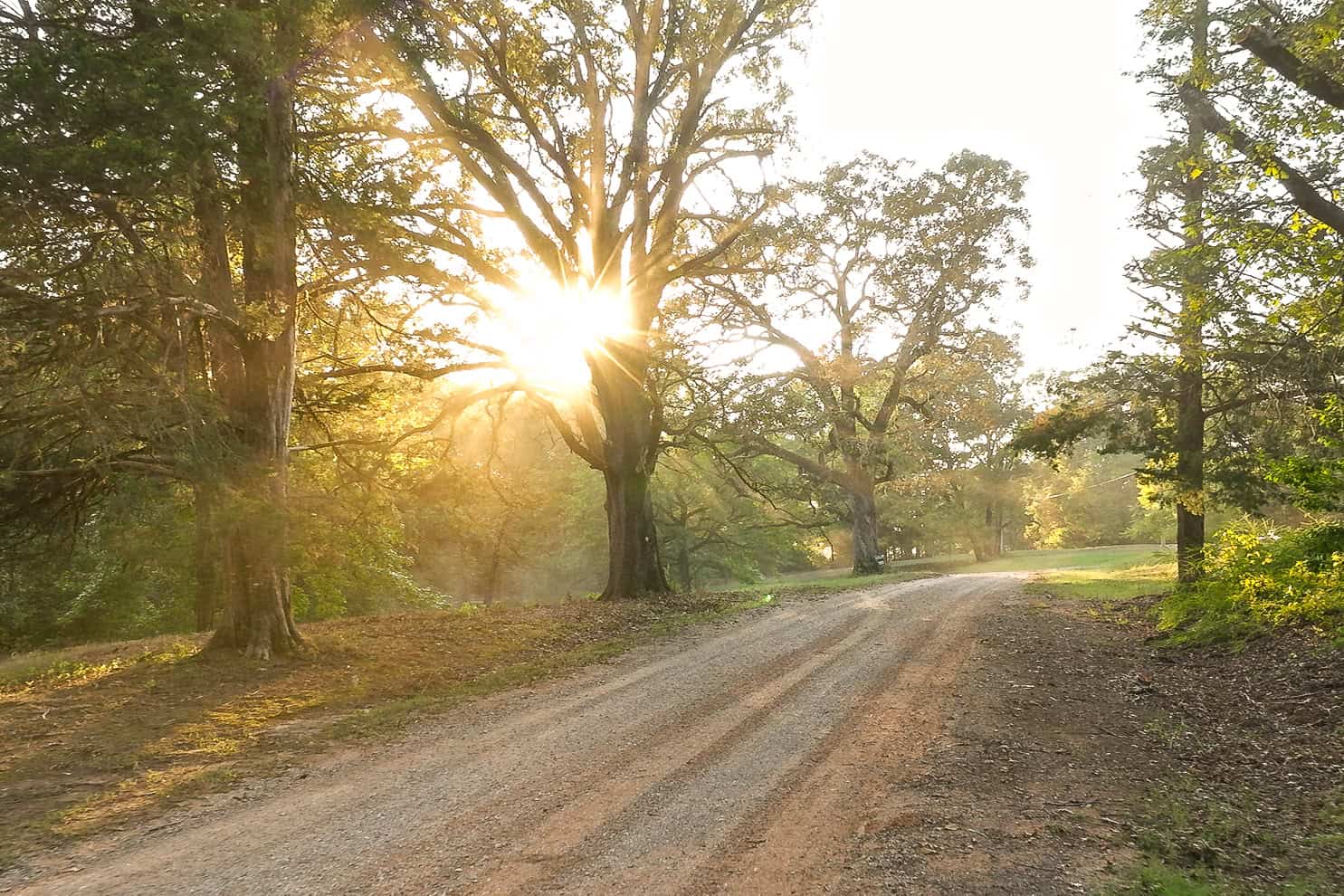 Premier Hunting & Recreation Property in Middleton, TN