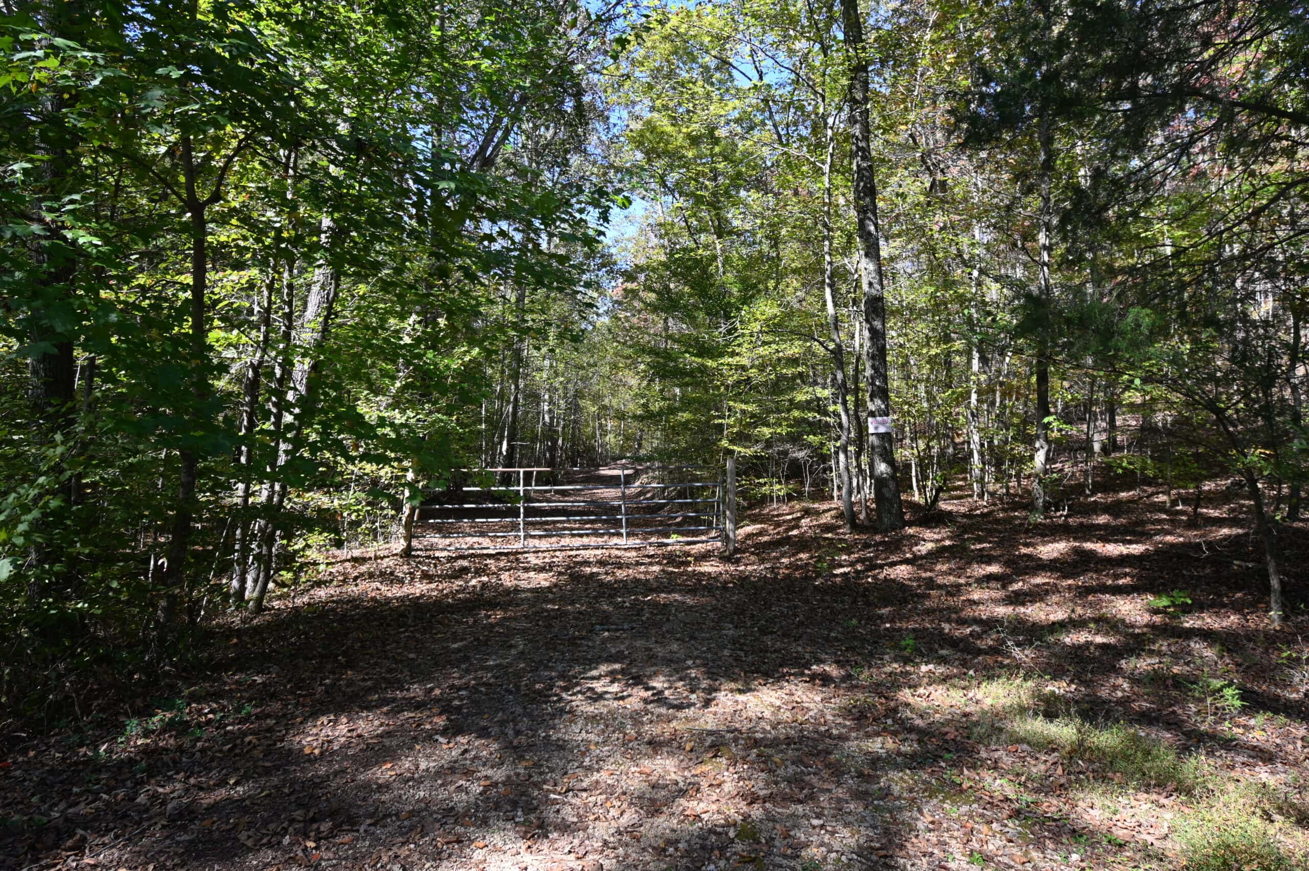 79.49 Acres Hunting and Timberland For Sale in Linden, TN