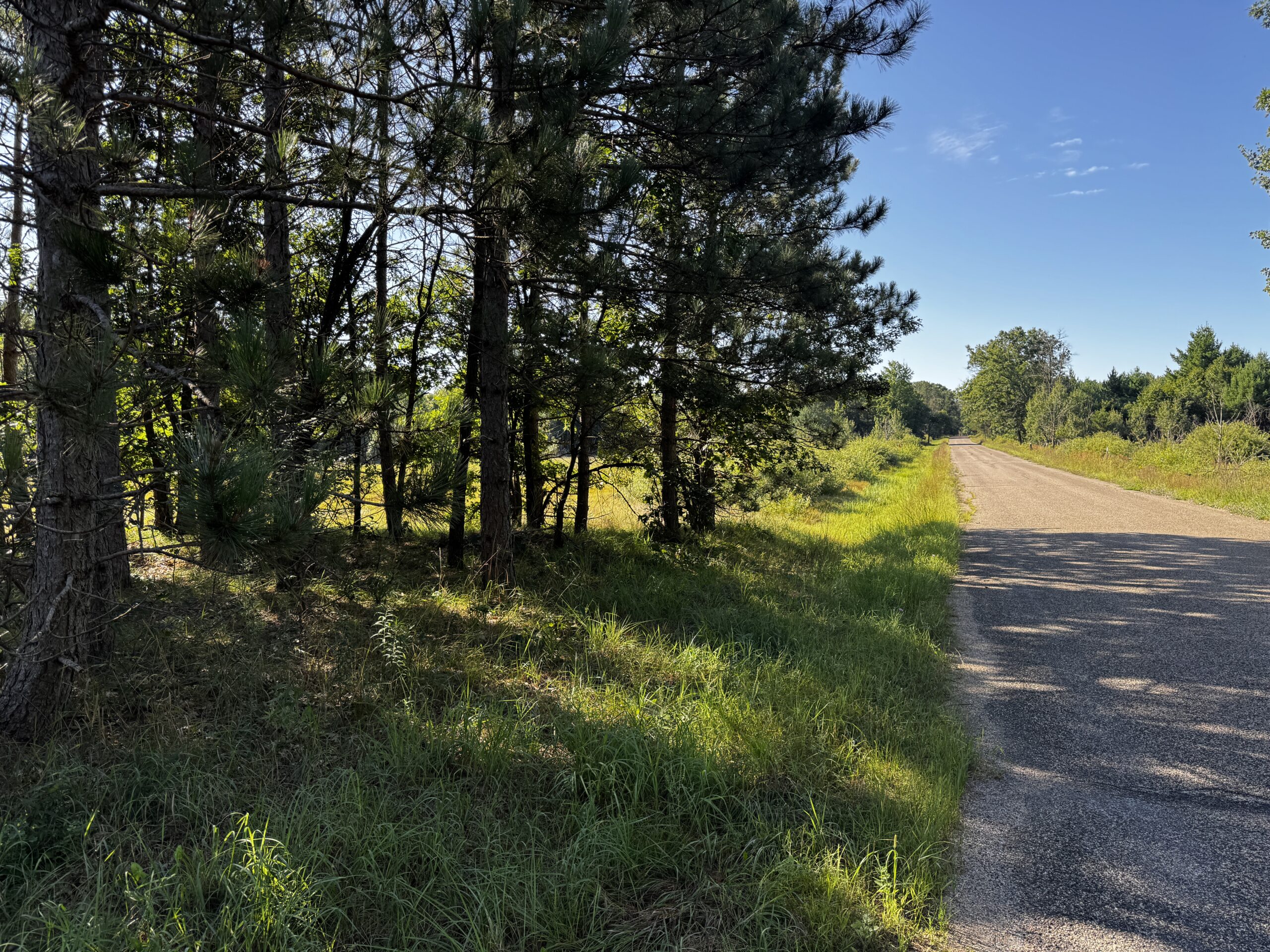 80-acre timber tract in Adams County