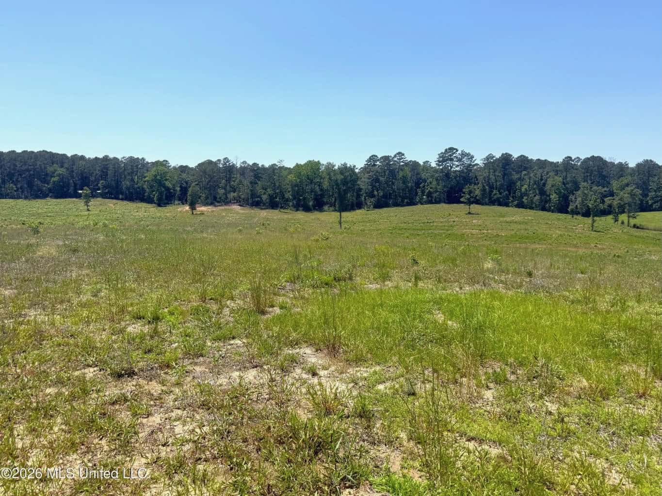 Rolling Hills Pastureland and Wooded land for sale