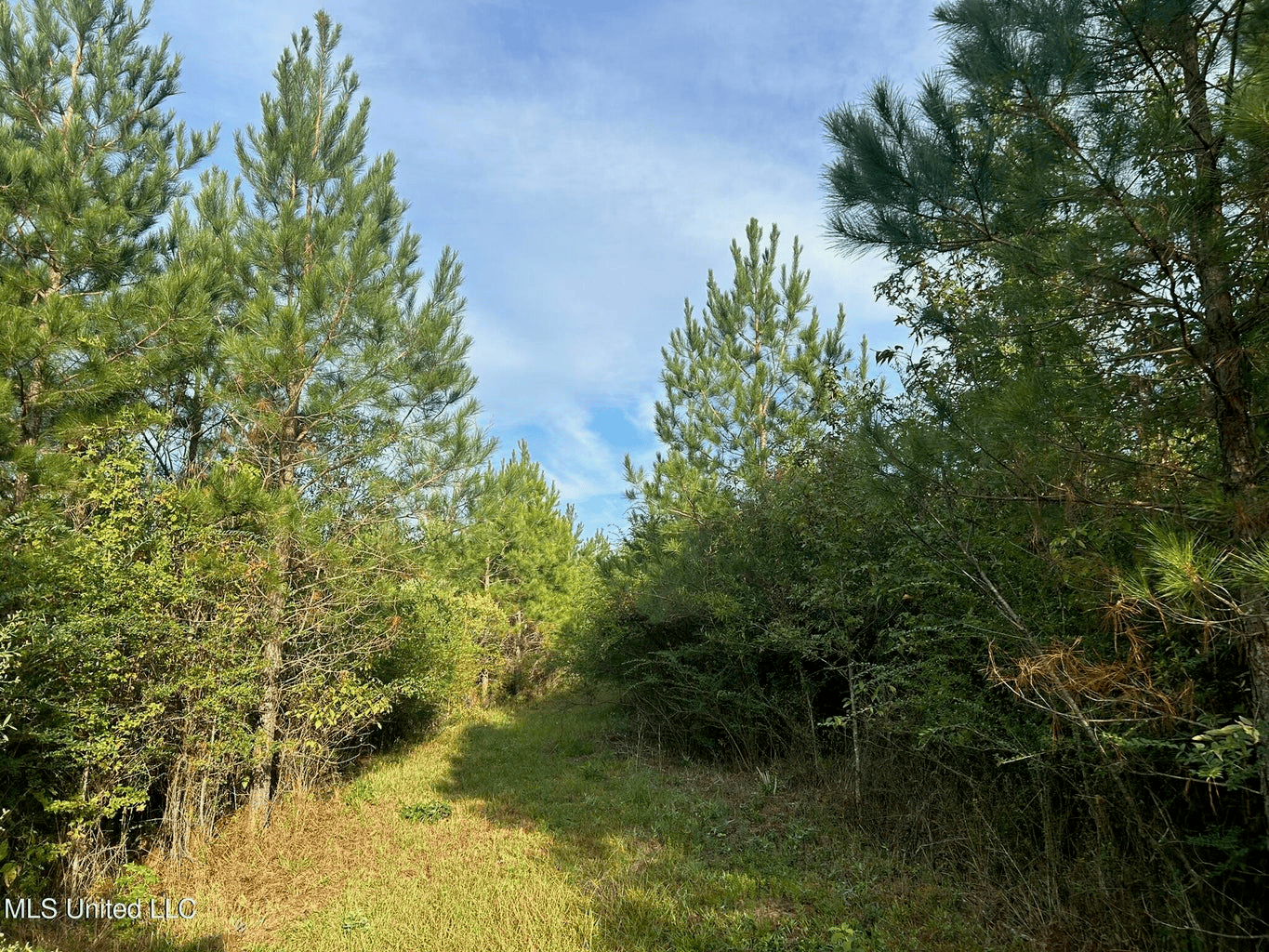 11.5+- Acres North Pike School District