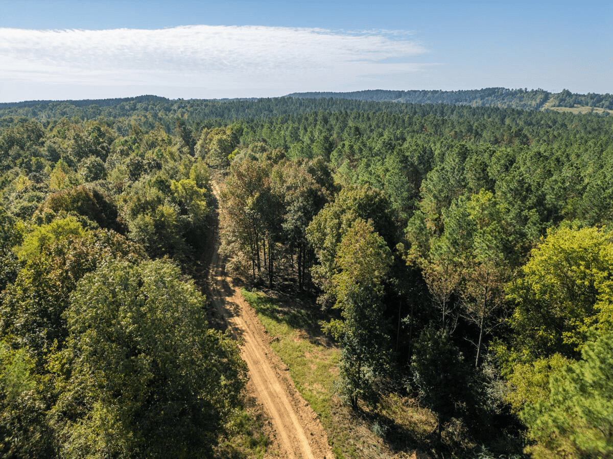 650 Acres Timberland and Lake Site Calhoun County MS