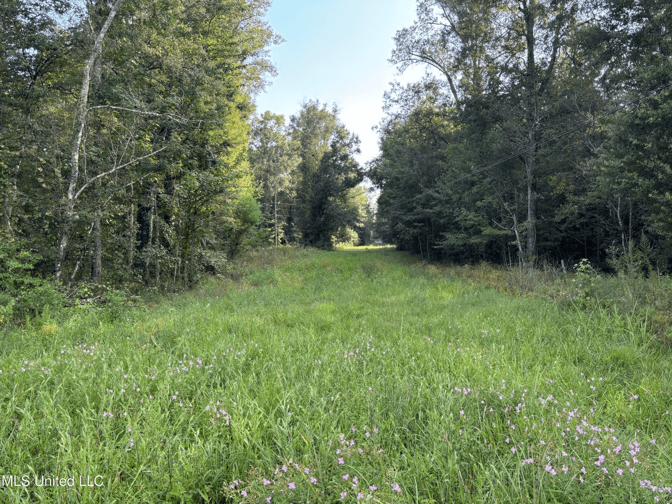 48 Acres for Sale in Jones County, MS Ellisvillle, MS