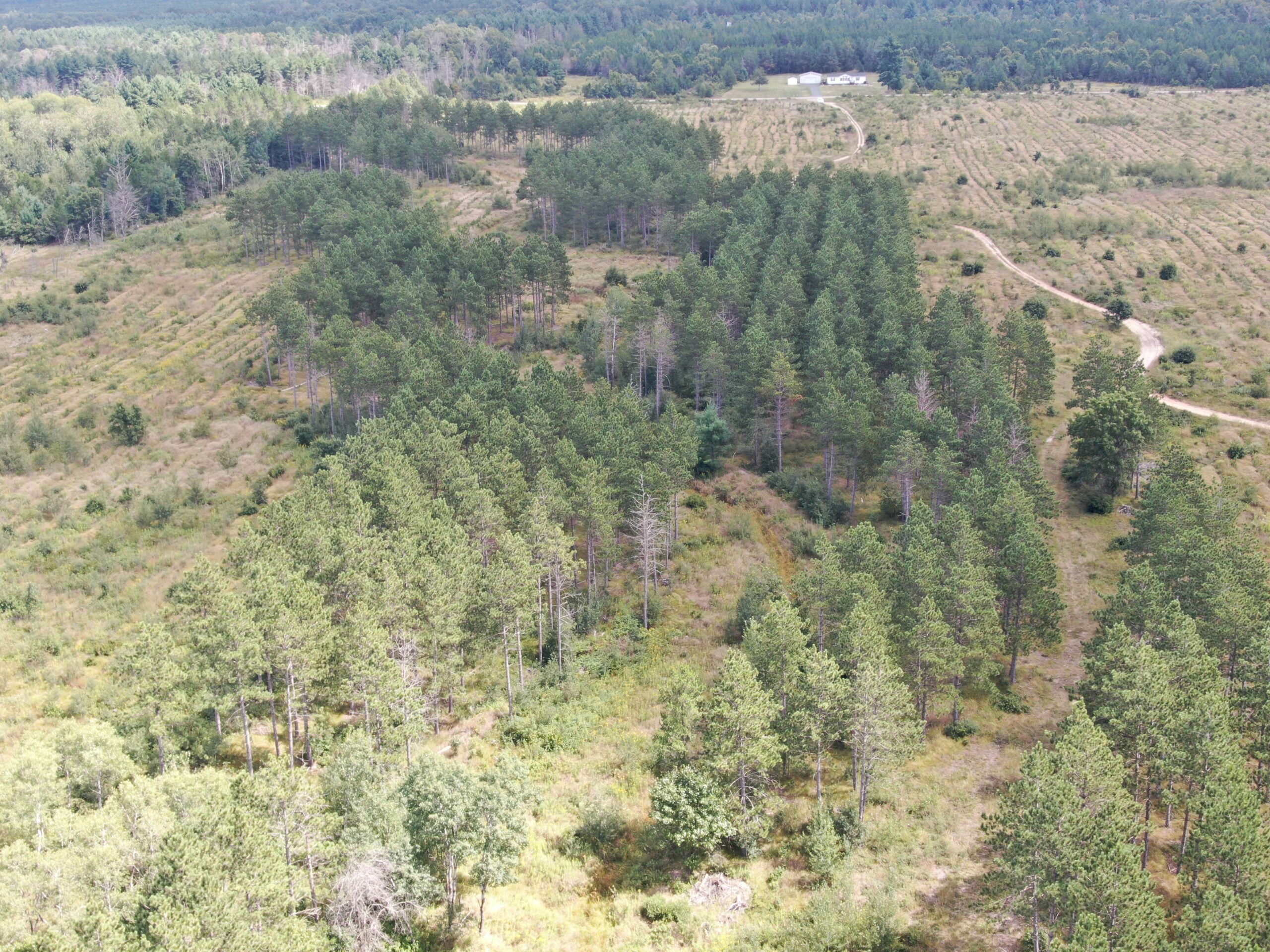 80-acre parcel in the Town of Big Flats
