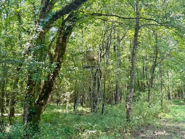 Mississippi Land For Sale With A Creek