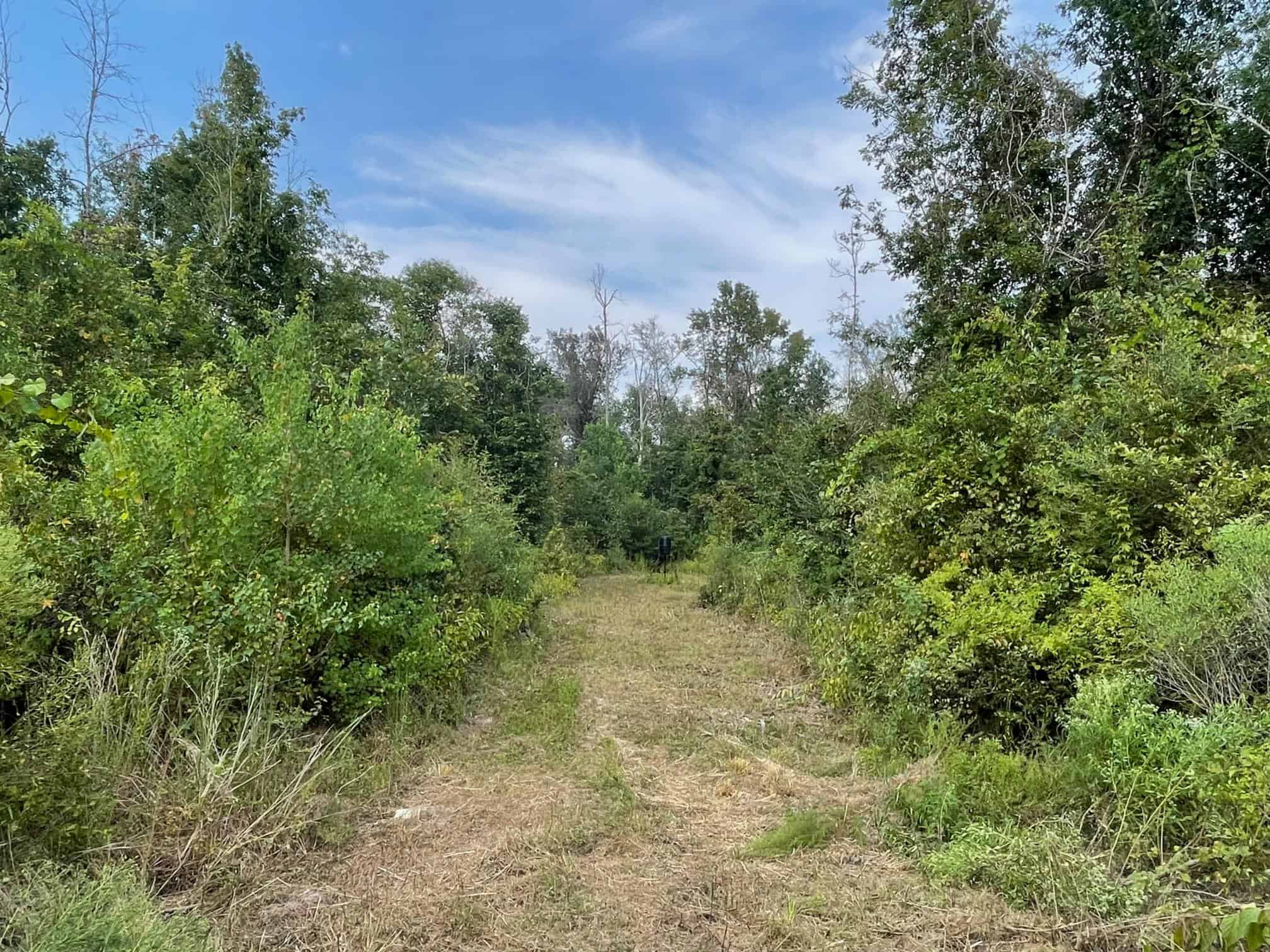 40 Acres Beauregaurd Parish LA