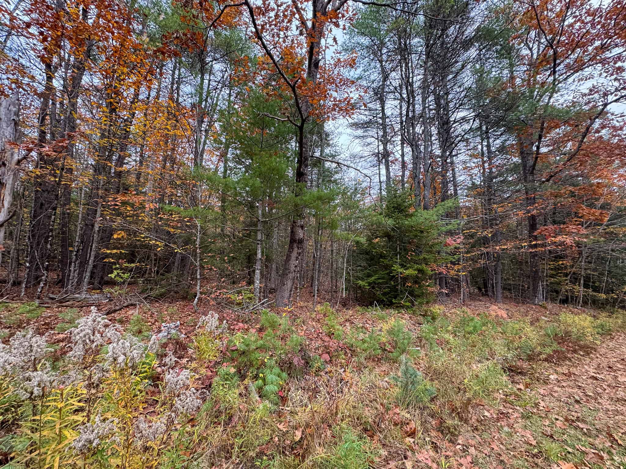10 Acre Acreage on Quiet Dead End Road