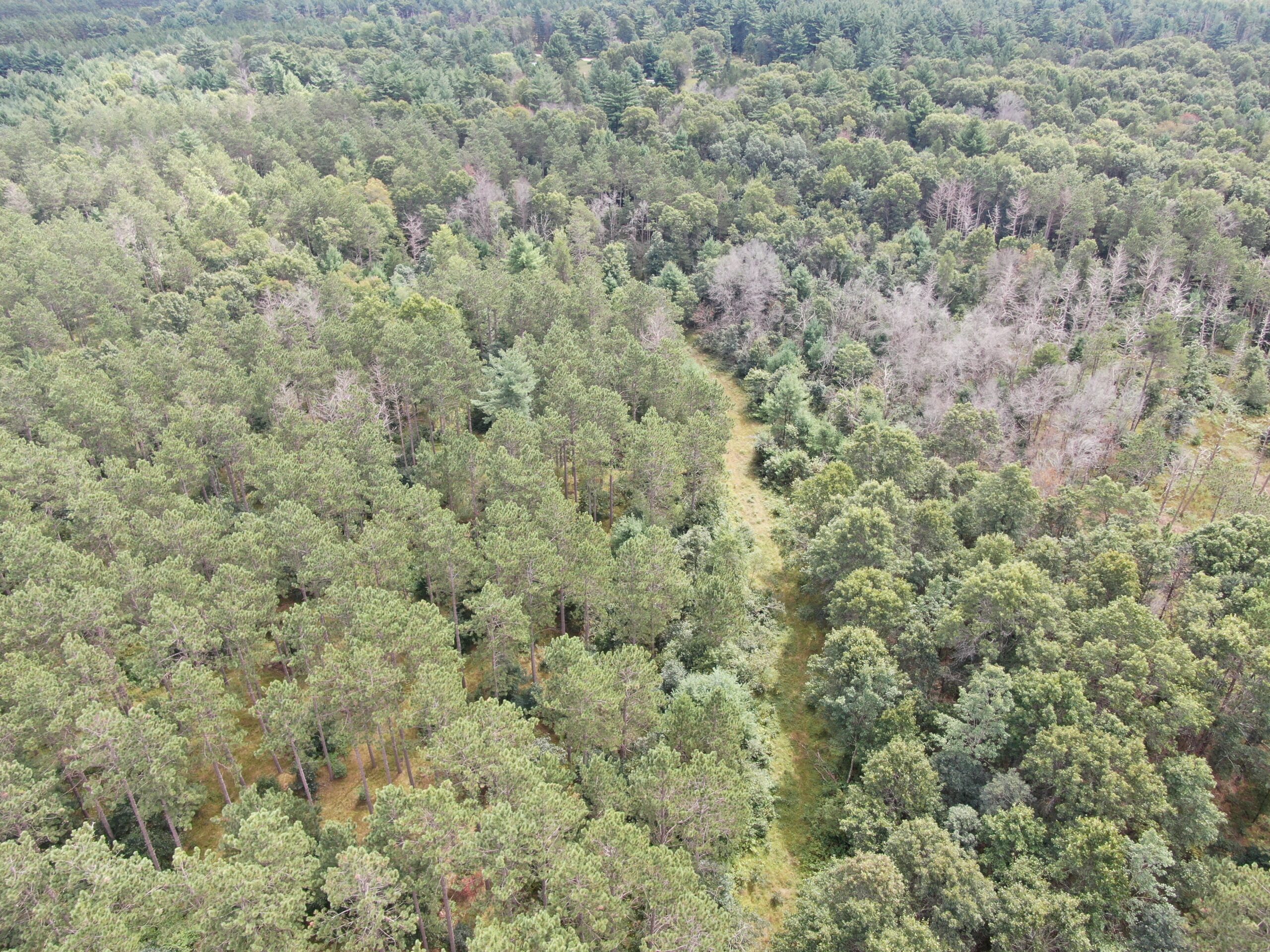 Escape to 80 acres of heavily timbered ground in Adams County