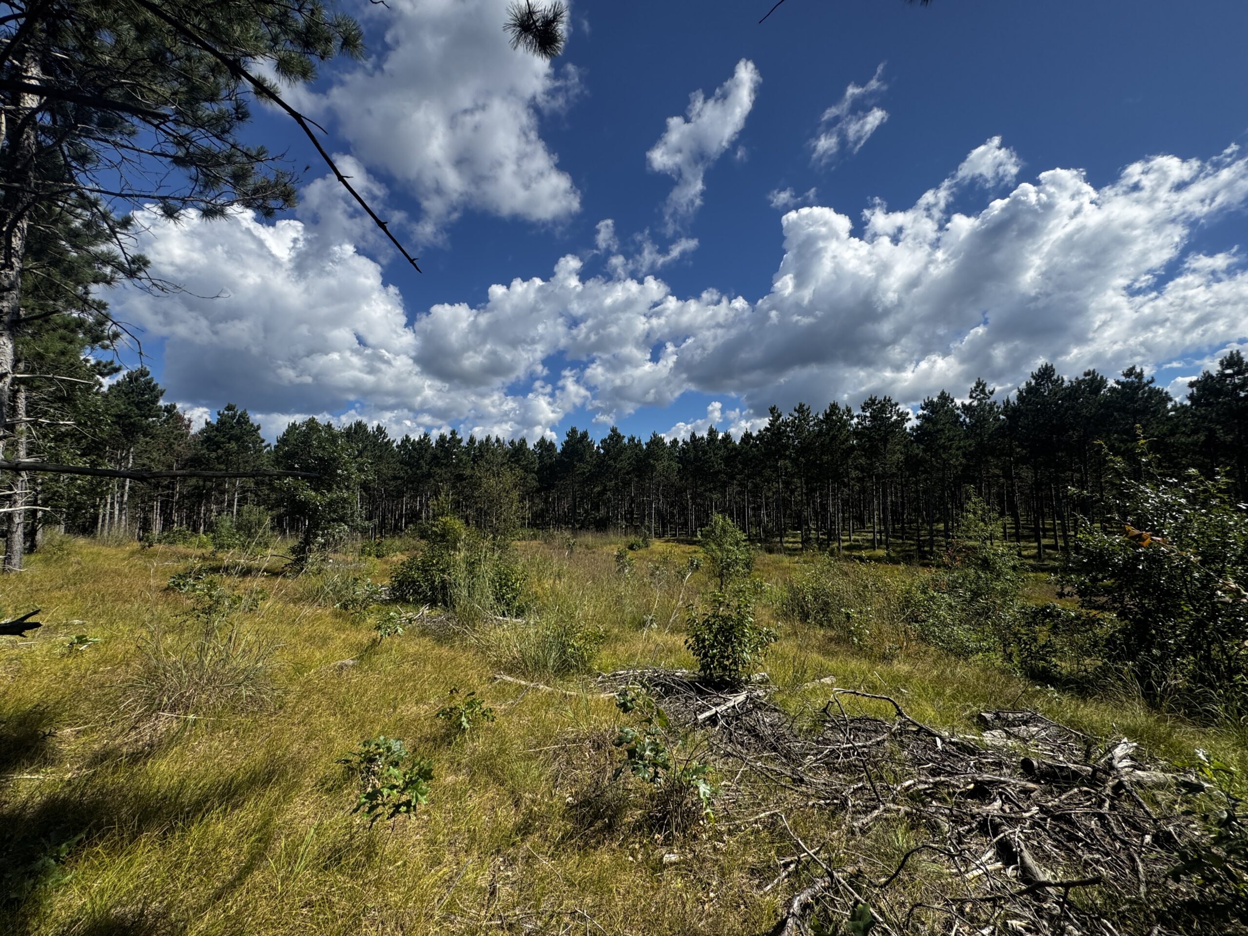 37.77-acre wooded parcel in the Town of Rome
