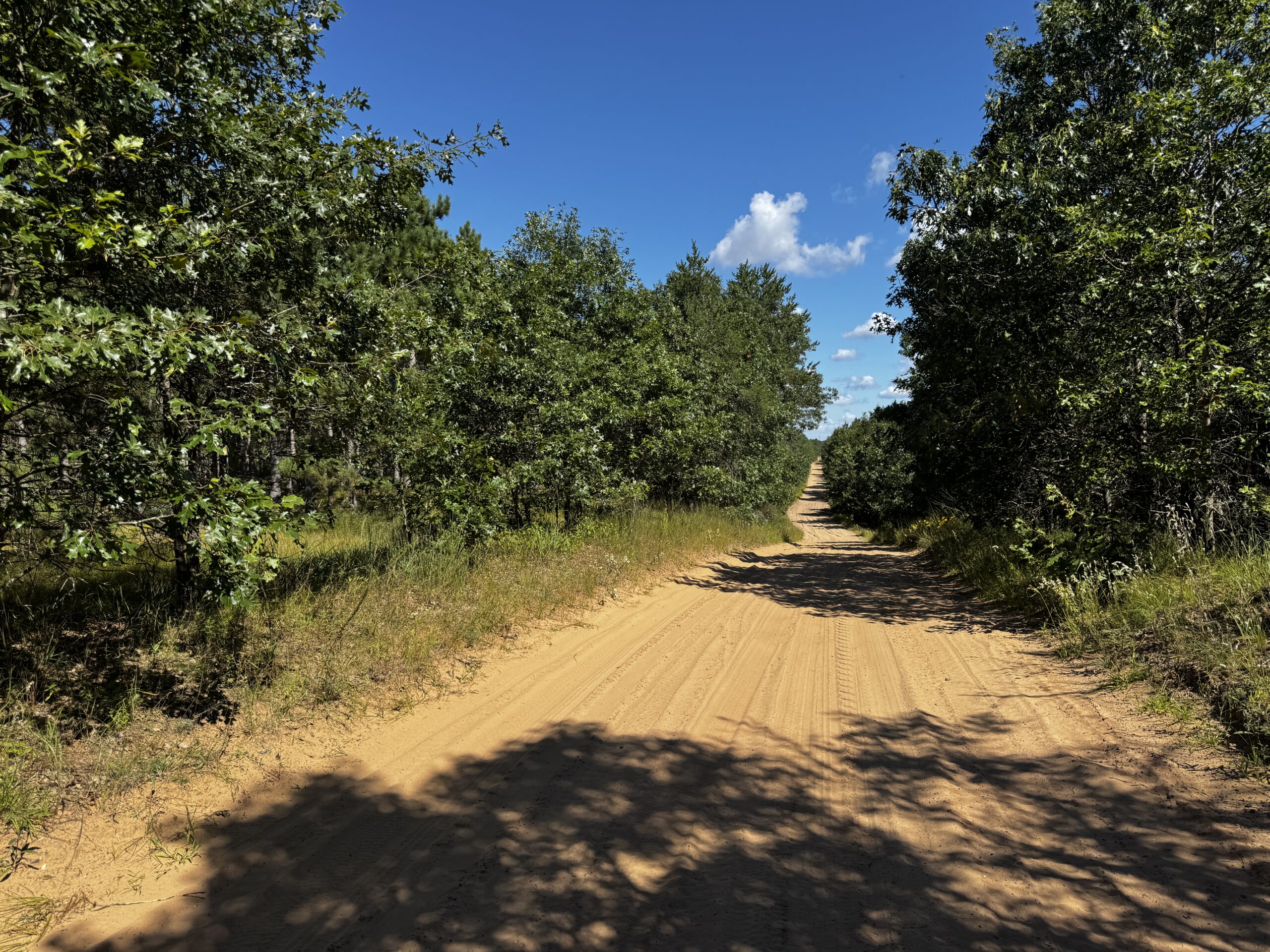 40-acre wooded parcel in the Town of Rome