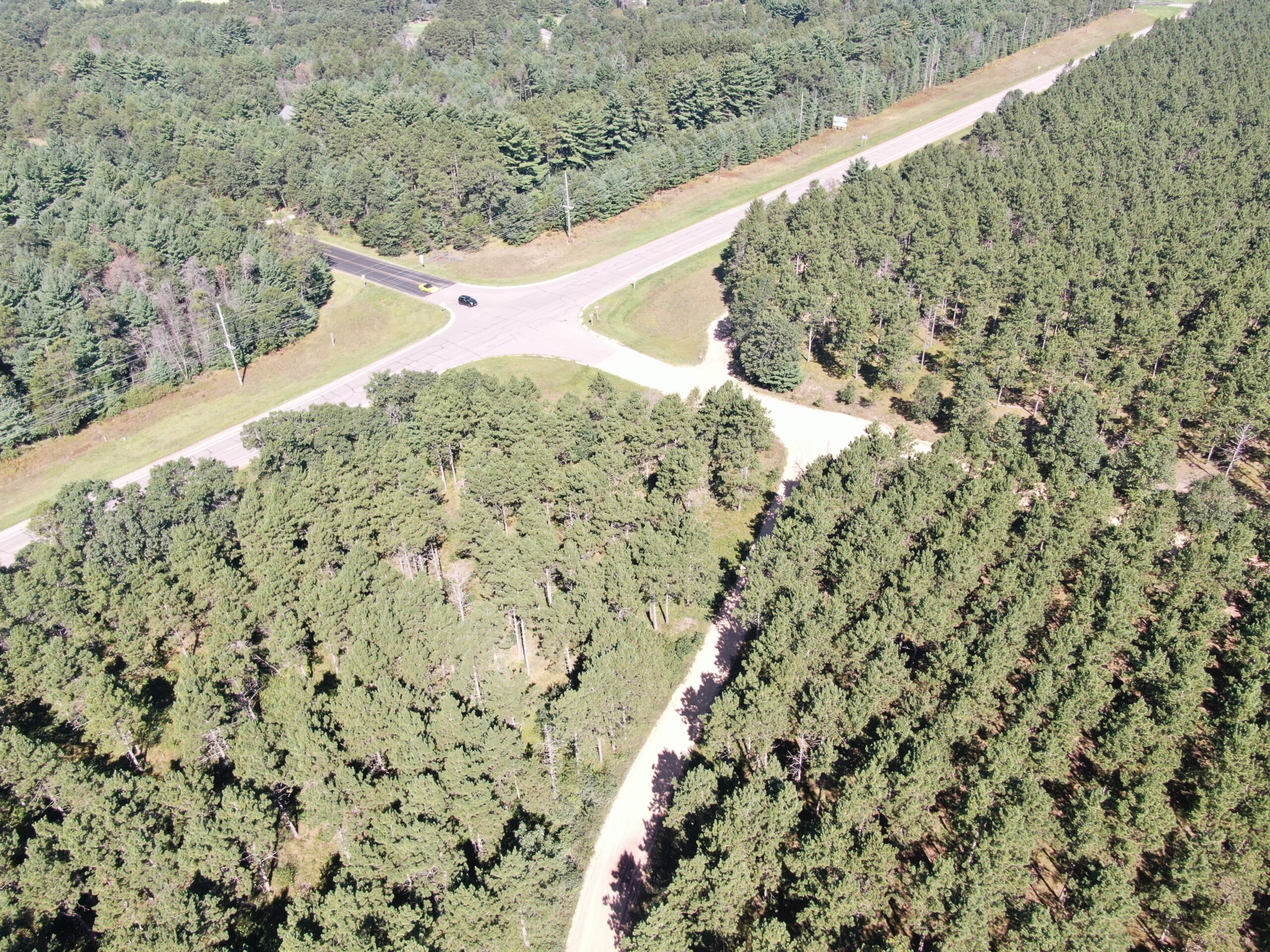 77-acre timber tract in the Town of Rome